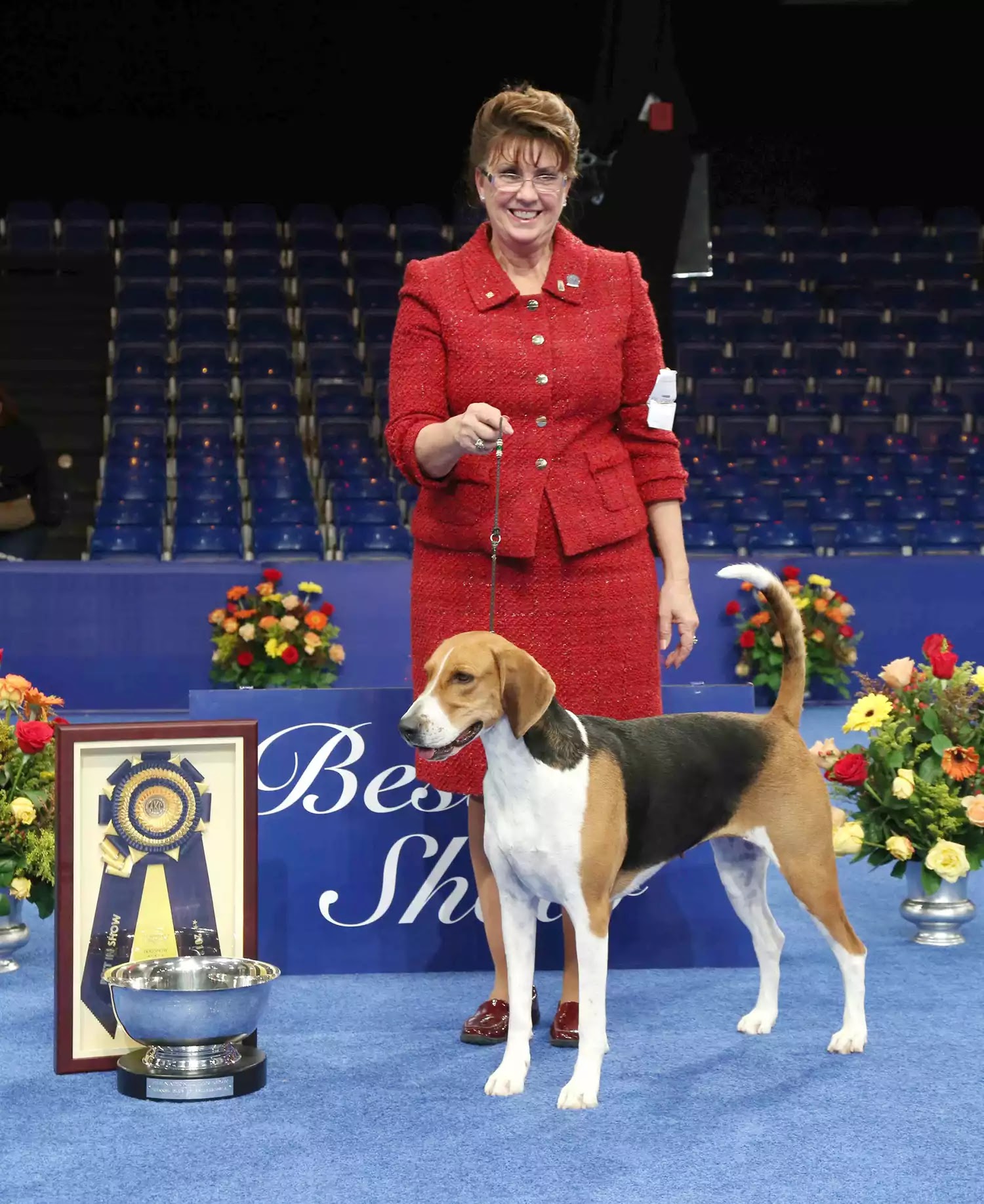 NDS 2013 Best in Show Winner: Jewel the American Foxhound